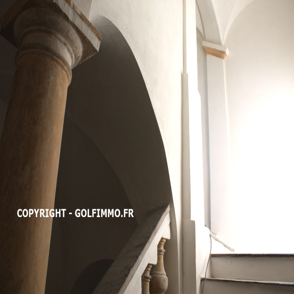 Location Immobilier Professionnel Local professionnel Nice 06100