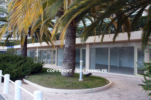Vente Immobilier Professionnel Local commercial Mandelieu-la-Napoule 06210